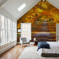 Golden Canopy Trail Mural Wallpaper - room preview 03