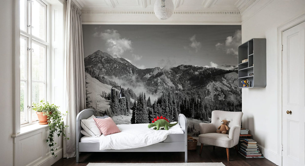Olympic Mountains Mural Wallpaper - room preview 03