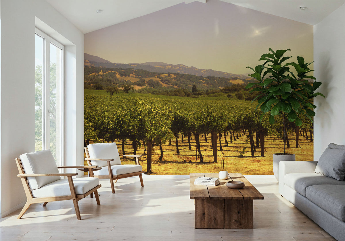 Golden Vineyard Vista Mural Wallpaper - room preview 03