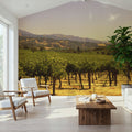 Golden Vineyard Vista Mural Wallpaper - room preview 03
