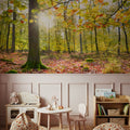 Autumn Sun Mural Wallpaper - room preview 03