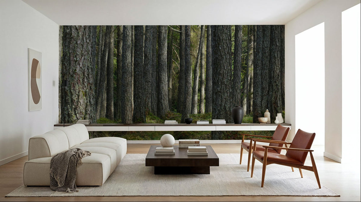 Pine Forest Mural Wallpaper - room preview 03
