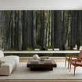 Pine Forest Mural Wallpaper - room preview 03