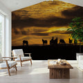 Horses At Sunset Mural Wallpaper - room preview 03