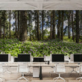 Eucalyptus Woods Mural Wallpaper - room preview 03