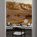 Bison Firehole River Mural Wallpaper - room preview 03