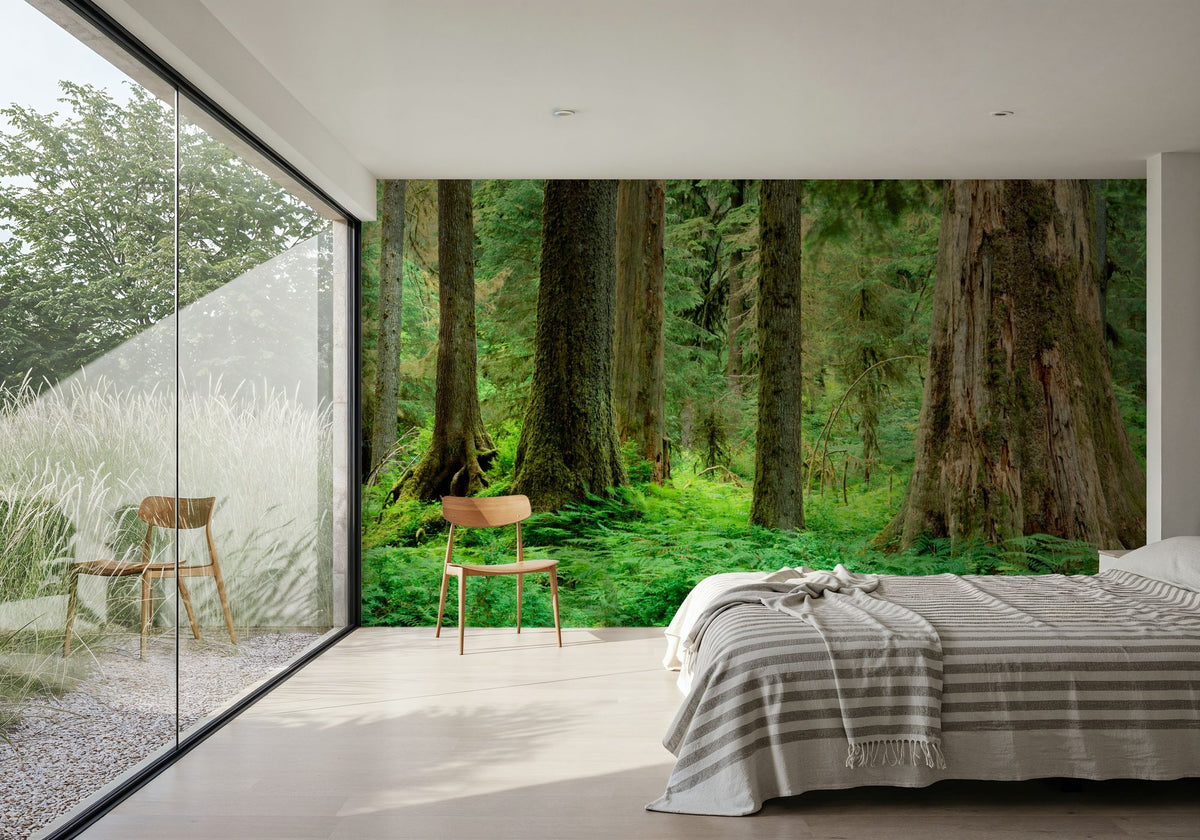 Hoh Rainforest Mural Wallpaper - room preview 03