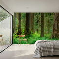 Hoh Rainforest Mural Wallpaper - room preview 03