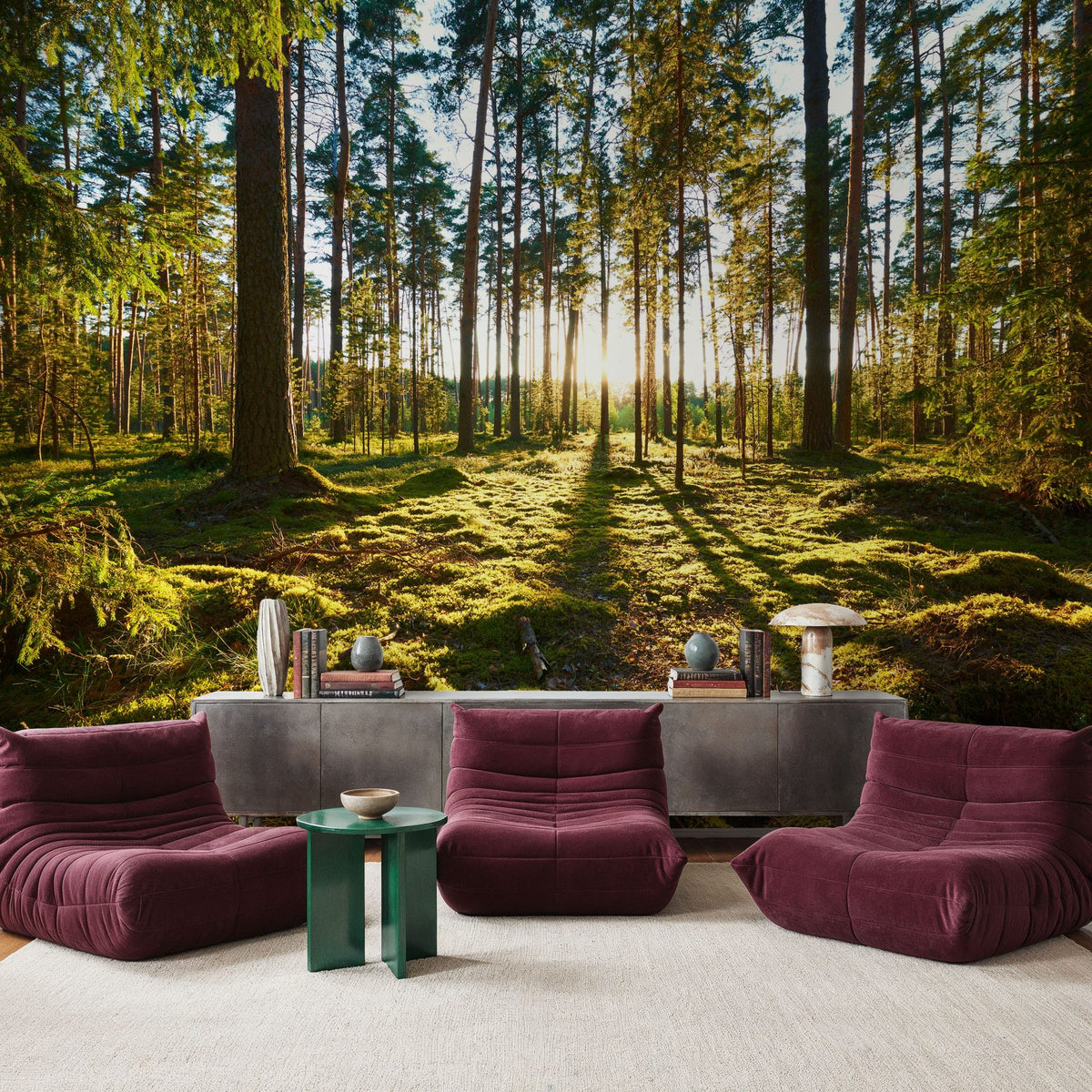 Pine Forest Sunrise Mural Wallpaper - room preview 03