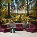 Pine Forest Sunrise Mural Wallpaper - room preview 03
