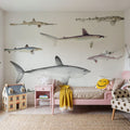 Sharks of the Pacific Ocean Mural Wallpaper - room preview 03