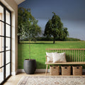 Tranquil Tree Line Mural Wallpaper - room preview 03