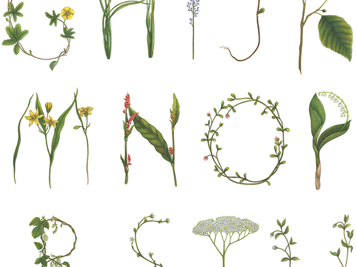 ABC for the spelling bee Mural Wallpaper - room preview 03