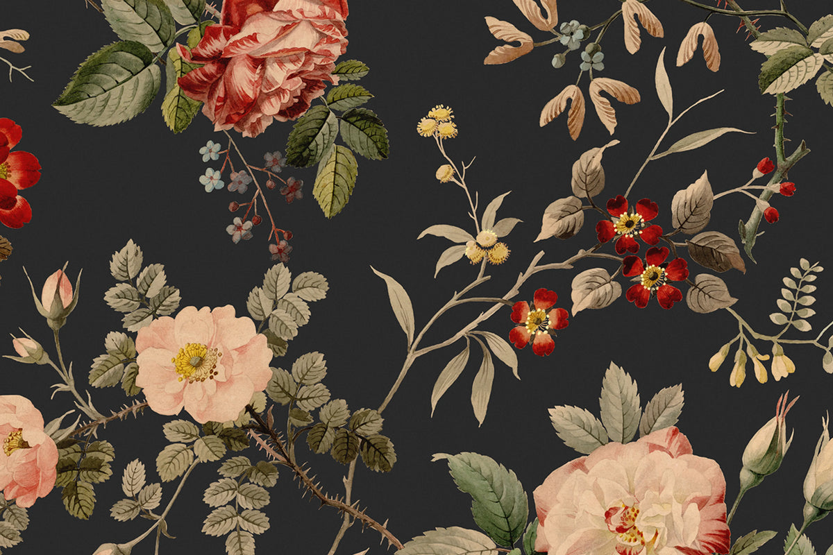 Thorn Rose Petite, Night Light Mural Wallpaper - room preview 03