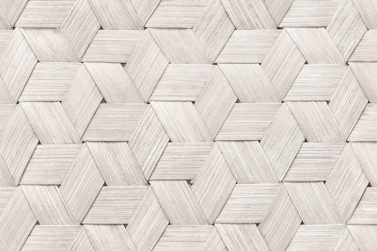 Small Birch Bark Braids, Snow White Mural Wallpaper - room preview 03