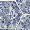 Marbled Hexagon Tiles, Dark Blue Mural Wallpaper - room preview 03