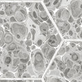 Marbled Hexagon Tiles, Gray Mural Wallpaper - room preview 03