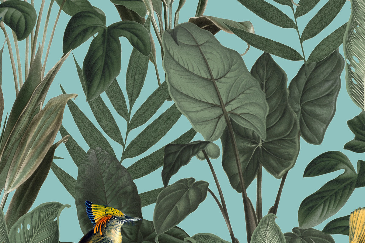 Birds of Paradise, Lush Green Mural Wallpaper - room preview 03