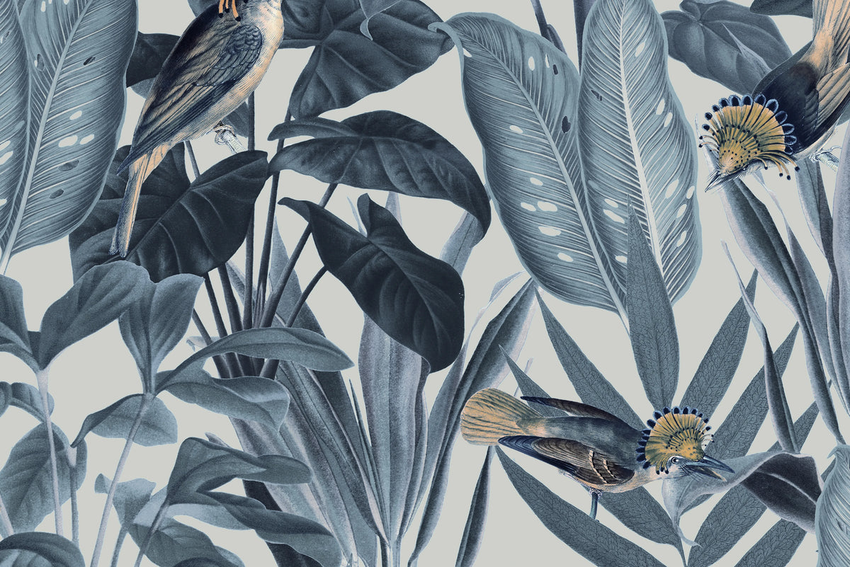 Birds of Paradise, Nightfall Mural Wallpaper - room preview 03