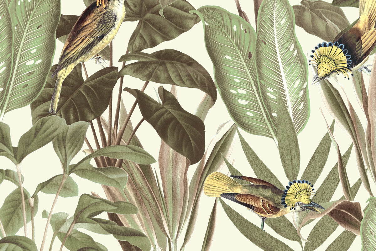 Birds of Paradise, Bright Dawn Mural Wallpaper - room preview 03