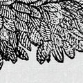 Bellewood Under The Clouds, Graphite Mural Wallpaper - room preview 03