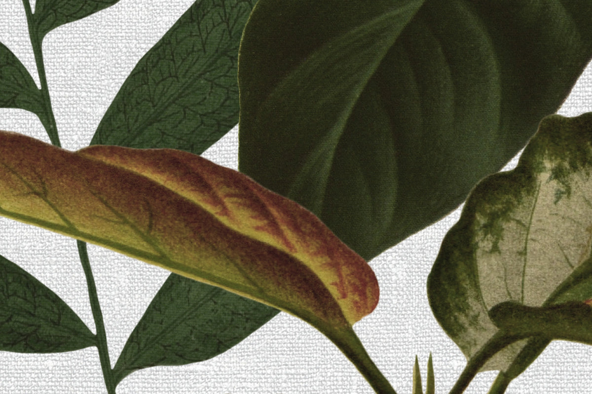 Mischievous Jungle, White Mural Wallpaper - room preview 03