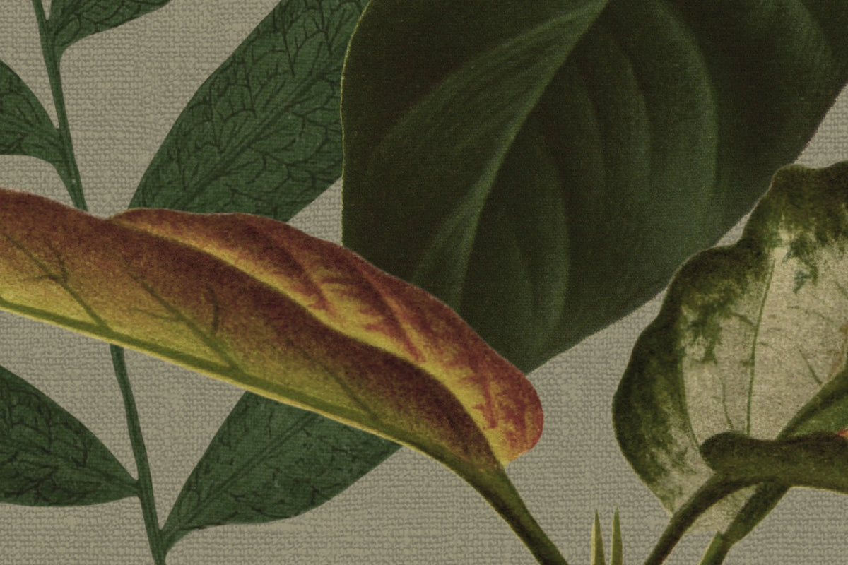 Mischievous Jungle, Sand Mural Wallpaper - room preview 03