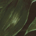 I See You, Emerald Mural Wallpaper - room preview 03