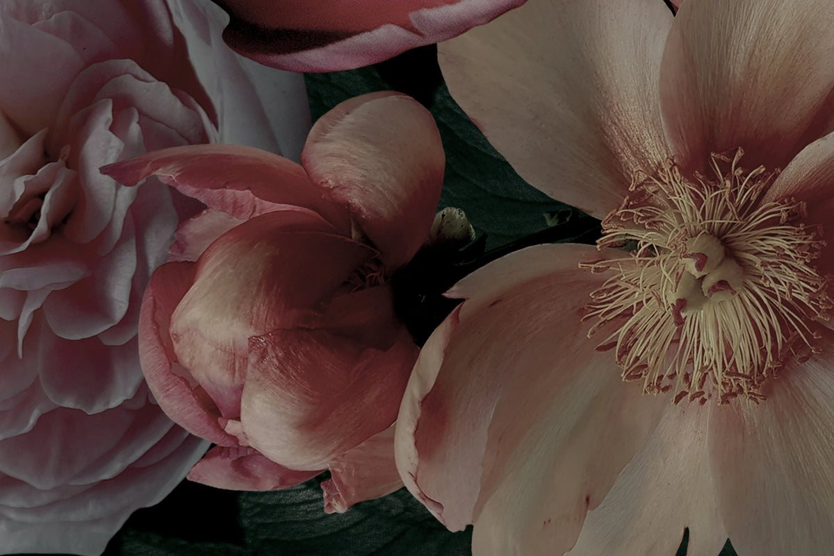 Dark Bouquet Mural Wallpaper - room preview 03
