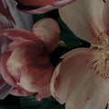 Dark Bouquet Mural Wallpaper - room preview 03
