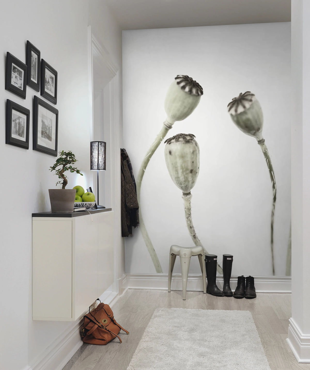 Simple Seedpod Mural Wallpaper - room preview 03