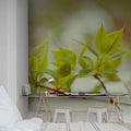 Green Leaves Mural Wallpaper - room preview 03