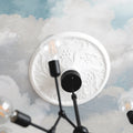 Cuddle Clouds, Ceiling Mural Wallpaper - room preview 03