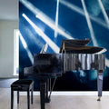 In the Spotlight Mural Wallpaper - room preview 03
