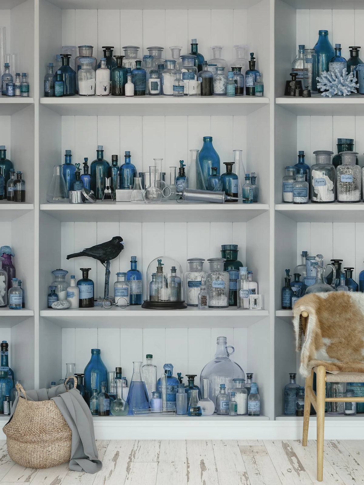 Cabinet of Curios, Sapphire Mural Wallpaper - room preview 03