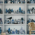 Cabinet of Curios, Sapphire Mural Wallpaper - room preview 03