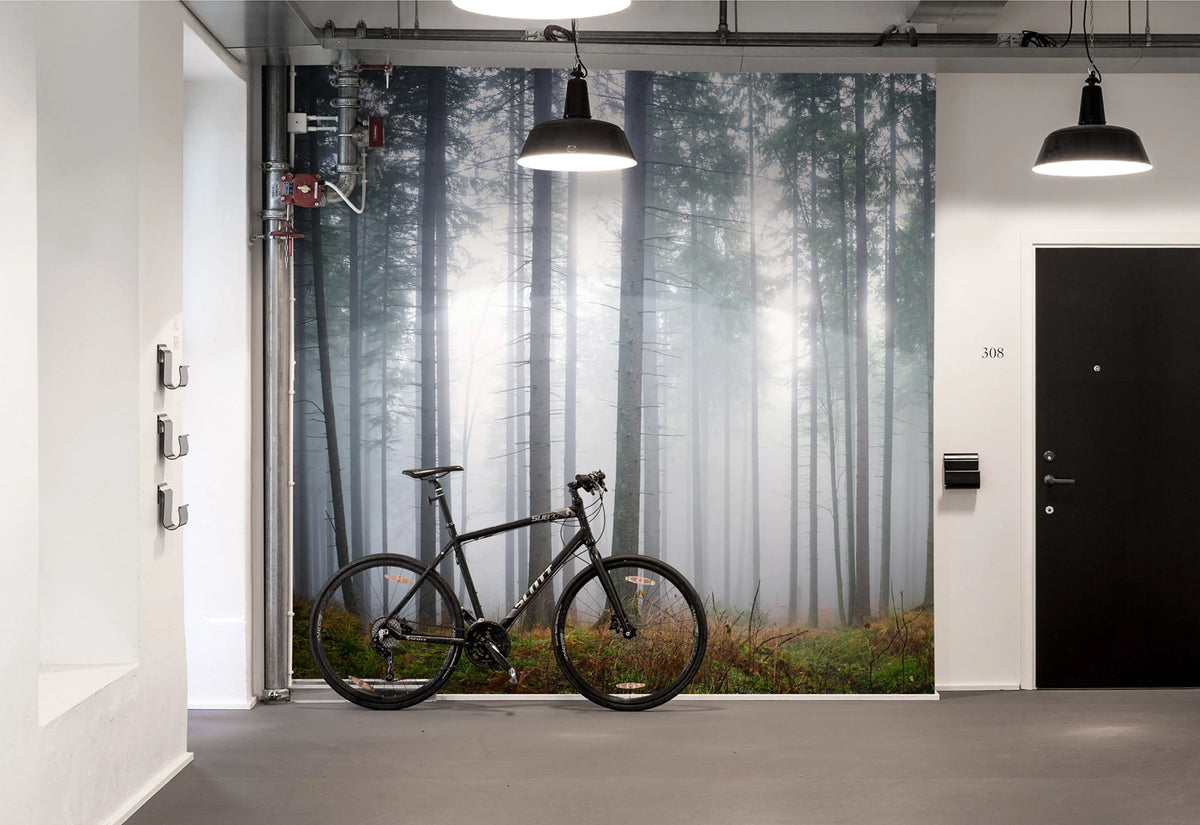 Forest Glade Mural Wallpaper - room preview 03