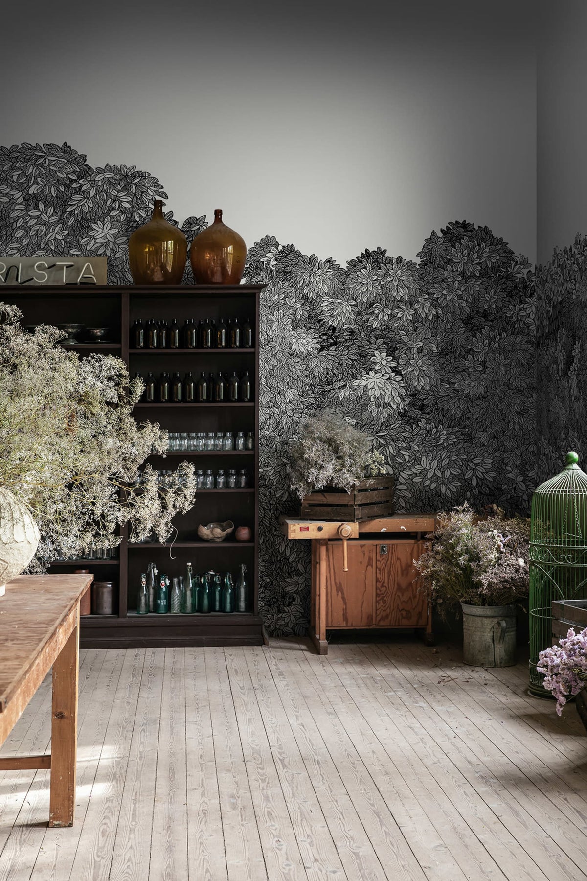 Belle Buisson, Black Mural Wallpaper - room preview 03
