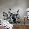 Graphic Zebras Mural Wallpaper - room preview 03