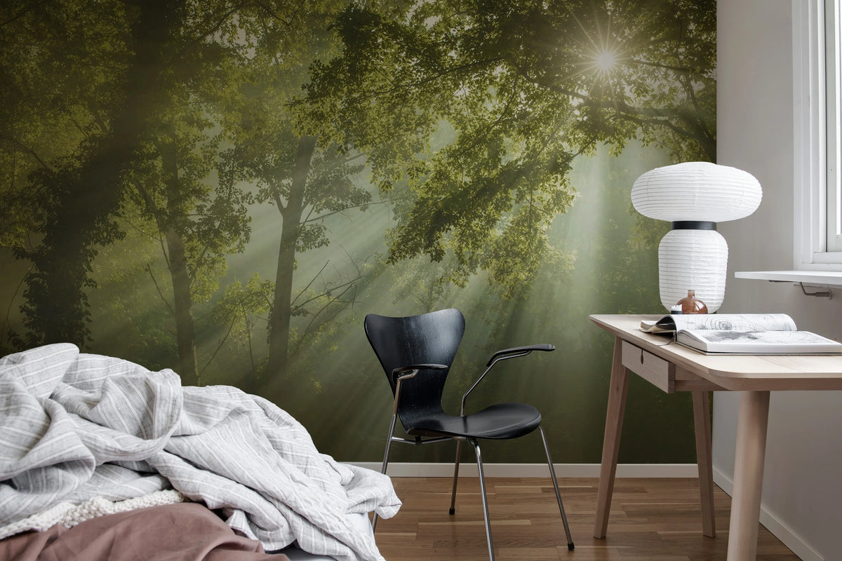 Sun Rays Mural Wallpaper - room preview 03