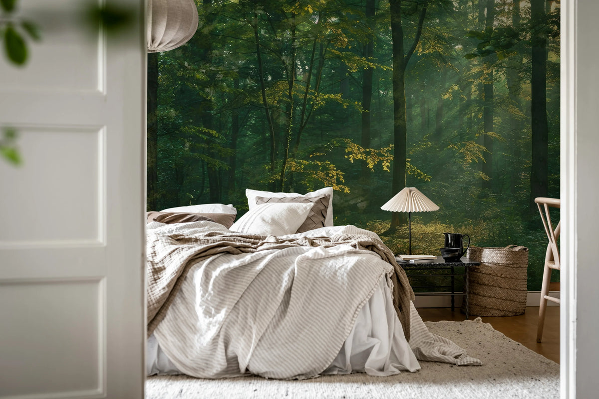 Sunrise Forest, Dawn Mural Wallpaper - room preview 03