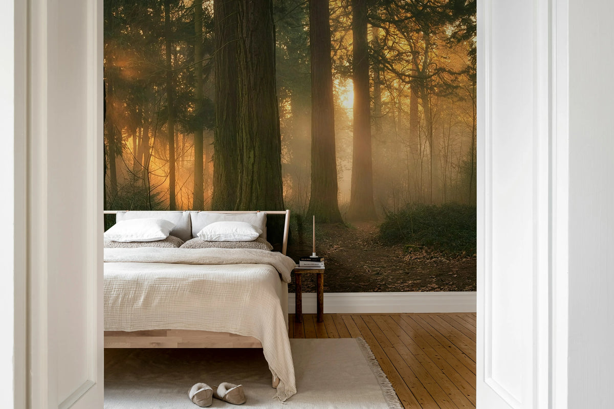 Misty Morning, Soft Mural Wallpaper - room preview 03