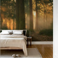Misty Morning, Soft Mural Wallpaper - room preview 03