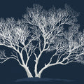 Minimalist White Tree Mural Wallpaper — High Contrast Nature Art Mural Wallpaper - room preview 04