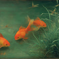 Koi Pond Oil Painting Mural Wallpaper — Impressionistic Nature Art Mural Wallpaper - room preview 04