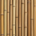 Natural Bamboo Stalks Mural Wallpaper — Minimalist Organic Pattern Mural Wallpaper - room preview 04
