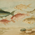 Vintage Shoal of Fish Mural Wallpaper — Artistic Marine Illustration Mural Wallpaper - room preview 04