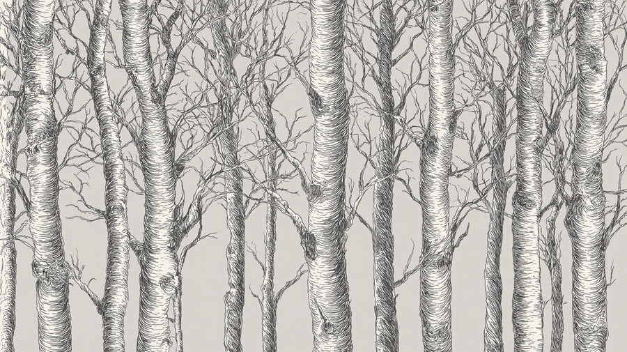 Forest Wallpaper Mural – Woodland Wall Mural – Monochrome Birch Forest — Hand-Drawn Woodland Art printable artwork