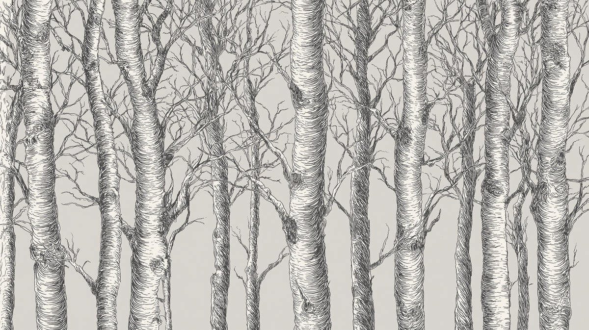 Monochrome Birch Forest Mural Wallpaper — Hand-Drawn Woodland Art Mural Wallpaper - room preview 04
