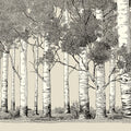 Ink Illustration Birch Forest Mural Wallpaper — Monochrome Woodland Mural Wallpaper - room preview 04